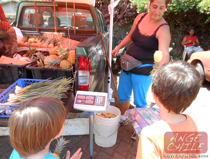 Cortando Piñas en Rapa Nui