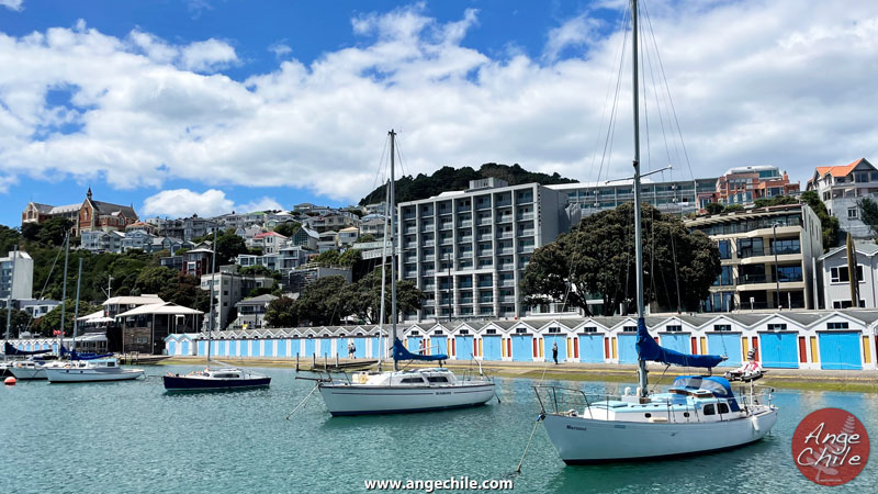 Cobertizos para botes en Wellington, Nueva Zelanda - Ange Chile