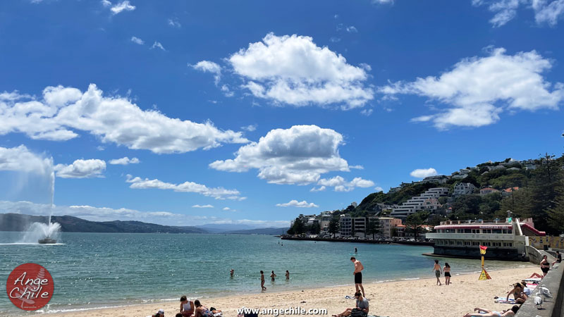 Fuente en el mar - playa de Oriental Bay en Wellington, Nueva Zelanda - Ange Chile