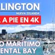 Caminata a pie del paseo marítimo y Oriental Bay en Wellington, Nueva Zelanda - Ange Chile