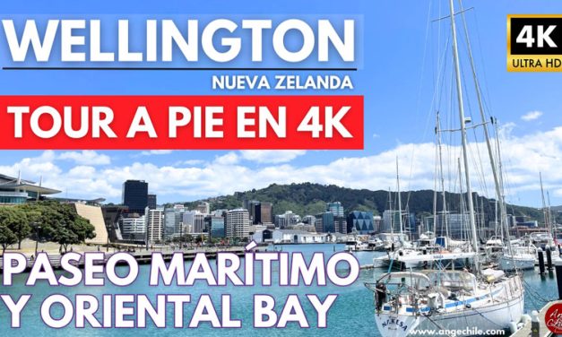 Paseo Marítimo y Oriental Bay – Wellington, Nueva Zelanda