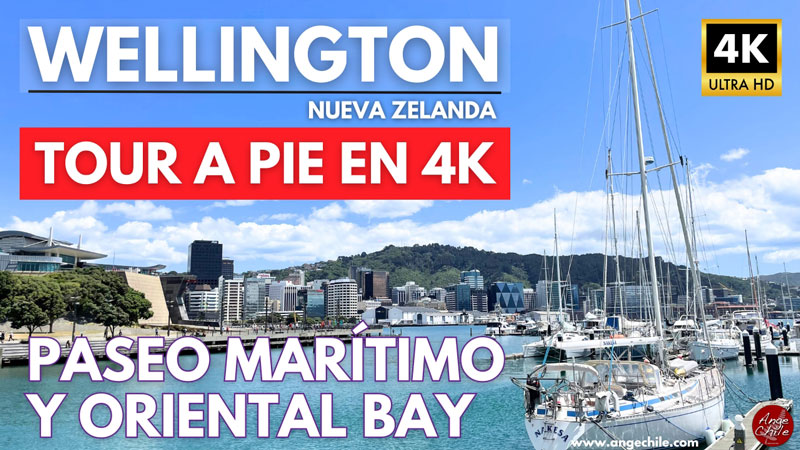 Caminata a pie del paseo marítimo y Oriental Bay en Wellington, Nueva Zelanda - Ange Chile