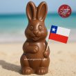 Conejito de chocolate con la bandera de Chile - Ange Chile