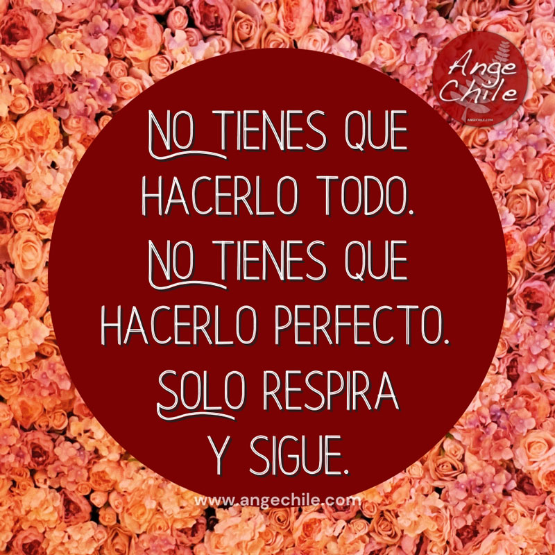 No tienes que hacerlo todo. No tienes que hacerlo perfecto. Solo respira y sigue. Ange Chile