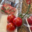 Tomates de Nueva Zelanda - Ange Chile