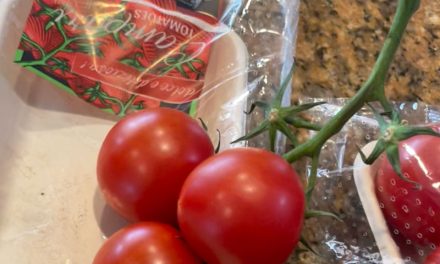 Un pancito, un cuchillo… y un caos de tomate